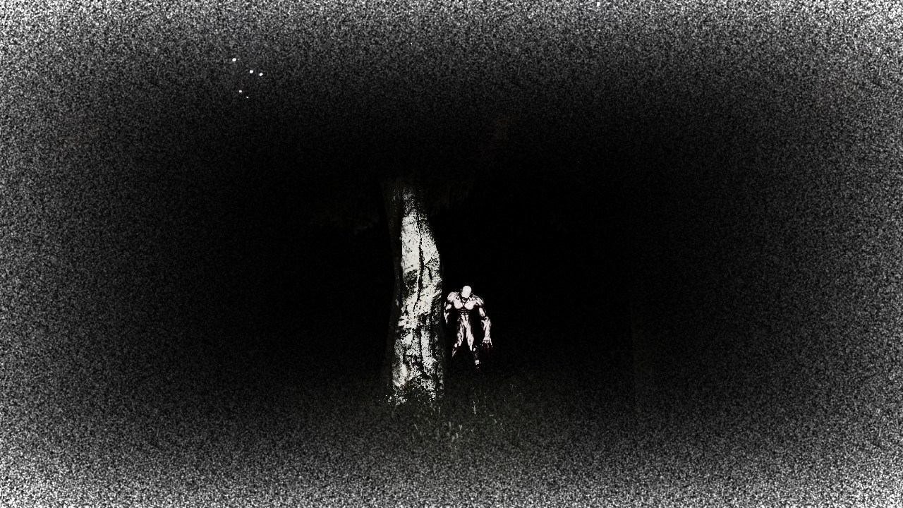 White Noise #5
